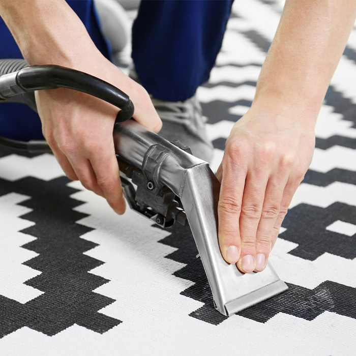 Carpet Cleaning